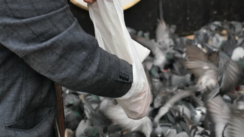  men feeding pigeon birds on floor .