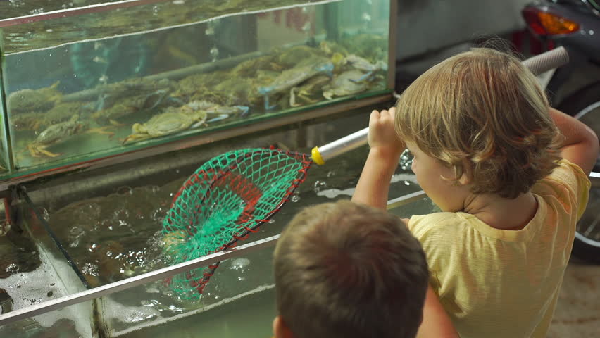 two little boys play with an an aquarium with lobsters and other sea animals at an asian night market