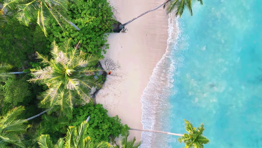 Beautiful white sandy beach with turquoise ocean water, waves and green fluffy palm trees in the  Maldives island.