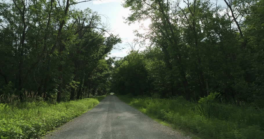 Road Path Between Green Trees - Forest Nature In Missouri, United States - Drone Forward