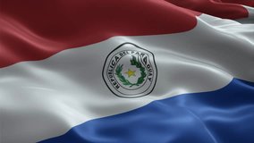 Paraguay flag video waving in wind. Realistic flag background. Close up view, perfect loop, 4K footage