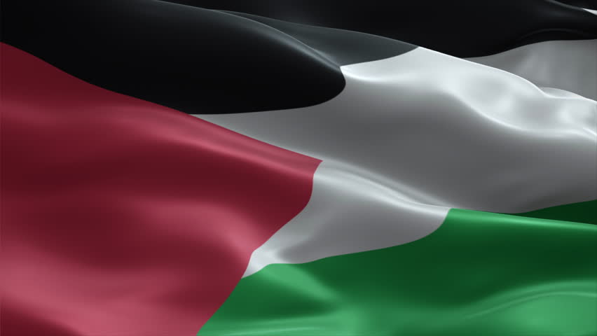 Palestine flag video waving in wind. Realistic flag background. Close up view, perfect loop, 4K footage