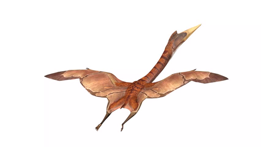 quetzalcoatlus is flying glide at cool rear view