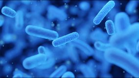 Resistance to antibacterial agents, growth of bacteria in the intestines, microscopy of bacteria - Powered by Shutterstock - Get 15% off with code: PIKWIZARD15