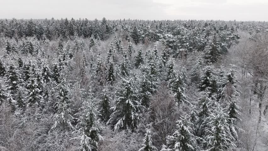 Aerial view of a snowy forest in northern germany Royalty-Free Stock Footage #3396155745