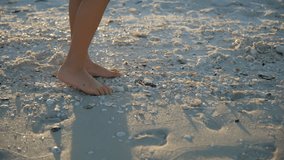 Little girl collects of seashells in sand on beach - Powered by Shutterstock - Get 15% off with code: PIKWIZARD15
