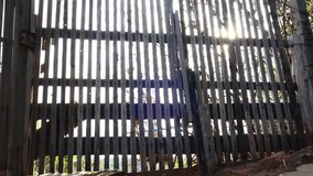 The fence is made of wood with morning sunlight. Video.