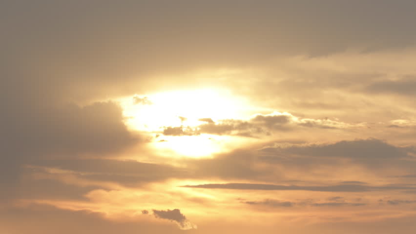 Tranquil Scene of Big Horn Sheep Grazing as Sun Set, resting against golden sky