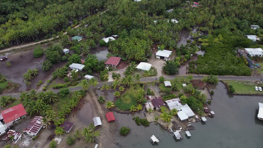 Lush green tropical jungle coast of Polynesian island of Taha