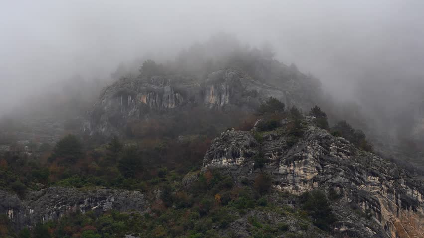 Foggy Day in the Rocky Mountains, Pine Trees Enshrouded, Eerie Mist Blanketing the Landscape in Cold and Mystery