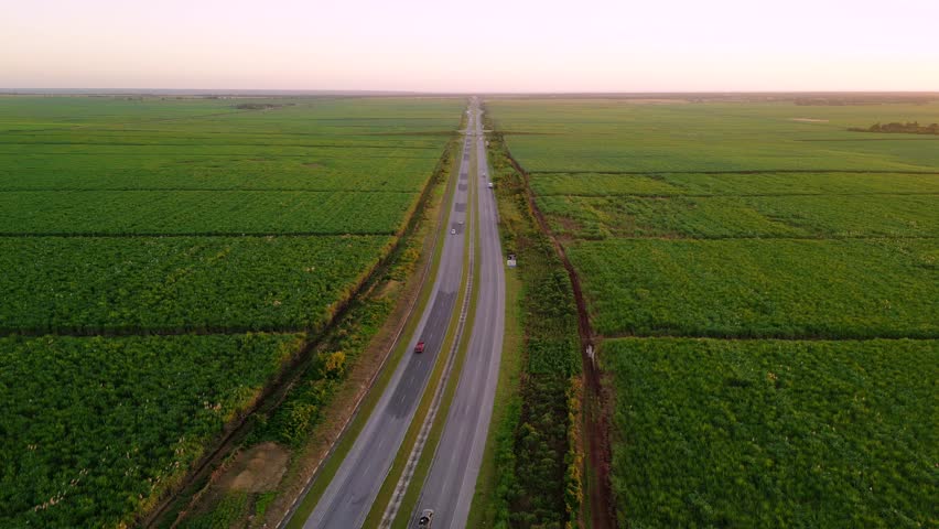 Aerial view of multi lane highway between green agricultural fields sown for the crop at sunset. Large plantations of sugarcane for sugar and alcohol production
