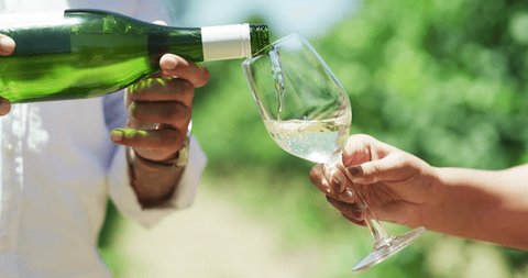 Vineyard, hands and sommelier with glass for wine tasting with alcoholic beverage on weekend in nature. Pour, drink and closeup of steward with sparkling champagne at outdoor farm in countryside.の動画素材