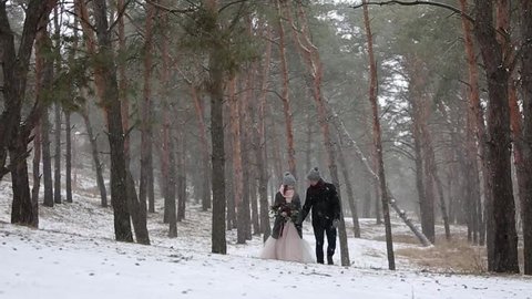 Outdoor winter forest shot of young wedding couple walking and having fun holding hands in snow weather pine forest during snowfall. Snowy engagement ceremony. Video compilation sequence