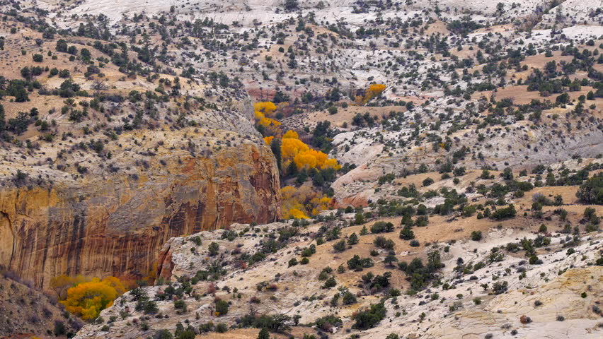 Establishing shot of brown mountains with green forest in The Hogback Scenic Root 12, Utah, North America. Day time on October 2023. ProRes 422 HQ.