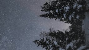 Milky Way over Coniferous Trees at Winter Night. Taganay National Park, Southern Urals, Russia. Cumulative Time Lapse. Star Trails. Vertical Video - Powered by Shutterstock - Get 15% off with code: PIKWIZARD15
