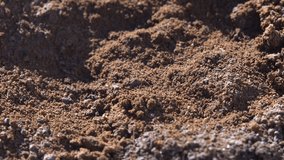 a close-up view of soil captured through a rotative macro shot