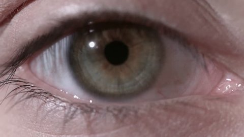 Beautiful insightful look light green woman's eye. Close Up of Woman's Light Green Eye with Heart Pupil