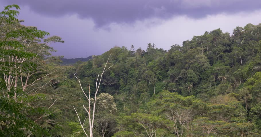 Stormy clouds in lush tropical forest, Bali, Indonesia