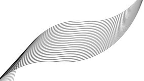 Black color wavy curve line motion background . curve line twirl animation .