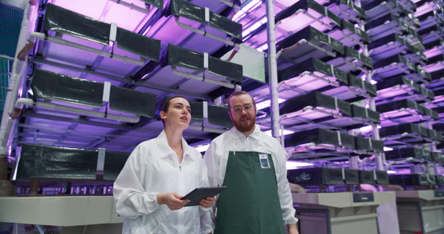 Technological Agriculture Center with Automated Hydroponics System. Operators Organizing Workflow, Using Software on a Tablet Computer and Chatting About Work. Modern Indoors Vertical Farm Operations Royalty-Free Stock Footage #3397094885