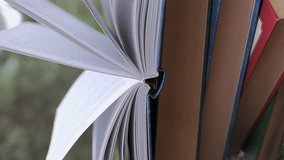 Stacked books in the forest. The concept of learning, reading, and knowledge. Close-up. Blurred background. Vertical video - Powered by Shutterstock - Get 15% off with code: PIKWIZARD15
