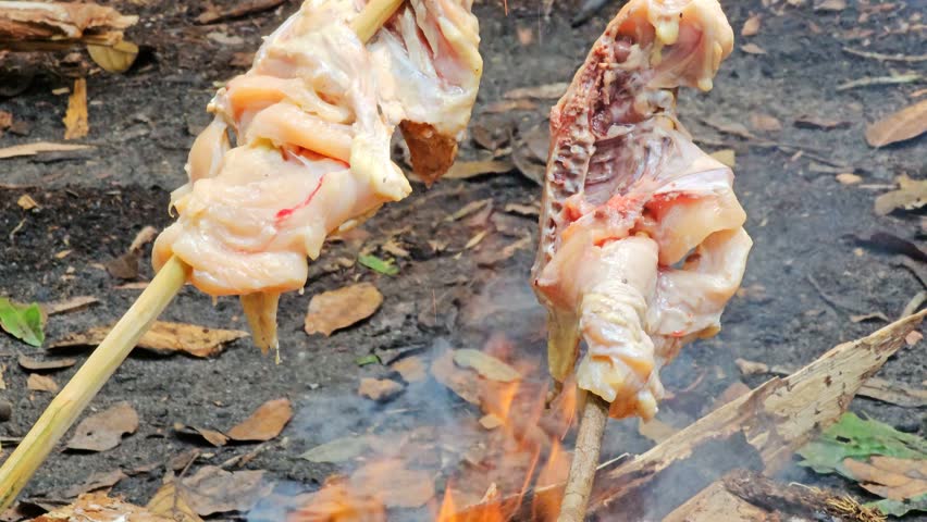 Surviving in the Wild Forest, Cooking a Chicken on a Stick
