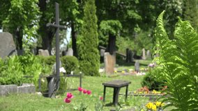 lonely man sit on bench next to marble cross in country cemetery. Focus on fern. 4K UHD video clip. 
