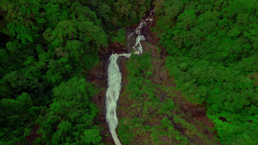 Aerial view of majestic Bijagual Waterfall or Manantial de Agua Viva, the tallest waterfall in Costa Rica. Cascading masterpiece hidden within the heart of the country's rich biodiversity.