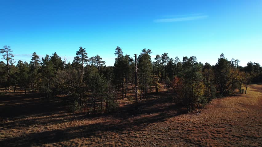 Stretching 200 miles, the Mogollon Rim provides breathtaking views overlooking an expansive forest of pine trees. Aerial views of the trees starting showing their fall colors.