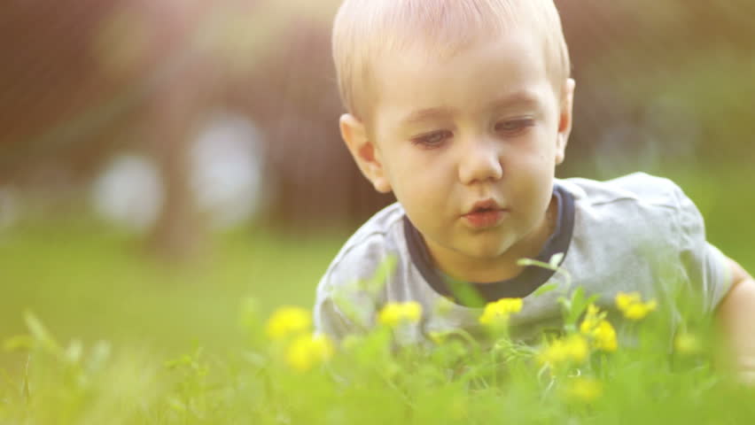 Little boy with a magnifier looking at flowers