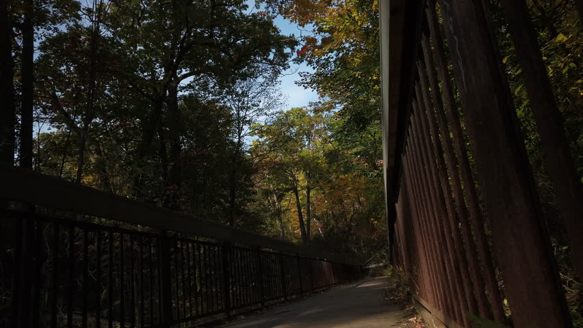 Man walking away from camera on a wooden boardwalk in the forest