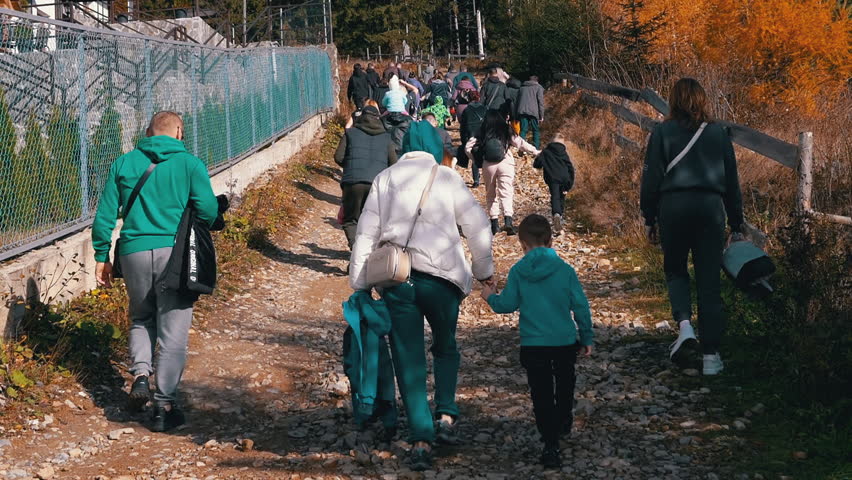 Group of Tourists with Children Climbs Up a Forest Path into the Mountains. Back view. Hill. High pine trees. Hiking in Carpathian Mountains. Walking with family in wild nature. Autumn background.