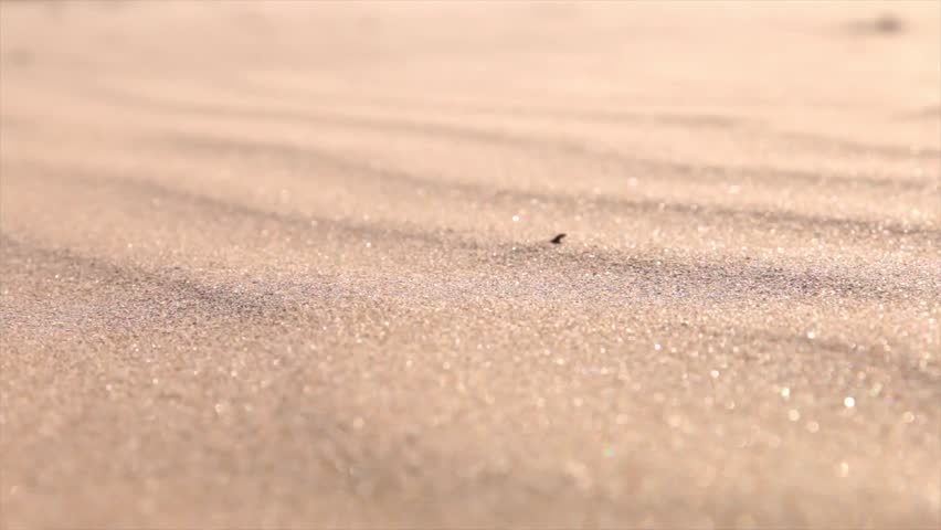 Strong wind caused sandstorm, Turkey