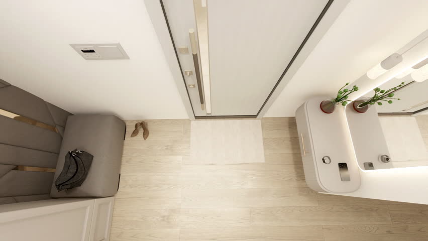 Apartment, hallway area, front door, wardrobe, console with mirror, open space, Japandi style, 3D video.	
