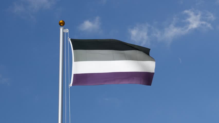 Asexual flag flying on a flagpole Royalty-Free Stock Footage #3398455421