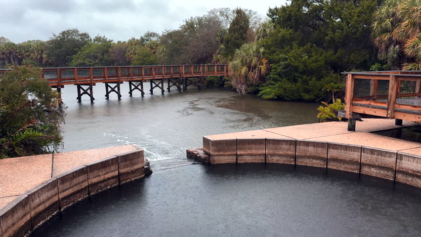 Rainy Day. Lake, rain and puddles. Relaxing atmospheric, gloomy, dark forest. Dramatic clouds on the sky. Wild tropical nature. Florida Wall Springs Park. Palm Harbor, Florida USA -October 1, 2023