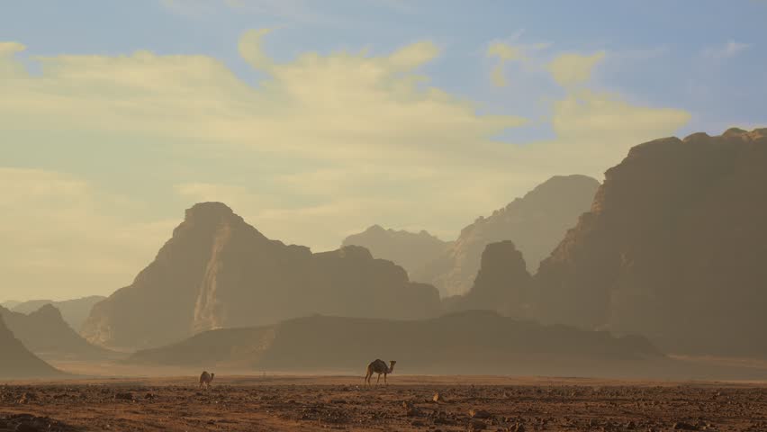 Tracking steady cam gimbal shot of a Camel walking through the Wadi Rum Desert in Jordan, Middle east Asia. Lonely camel, Sandy Valley with hils and rocks among Sunshine. 4k wide shot Royalty-Free Stock Footage #3398610713