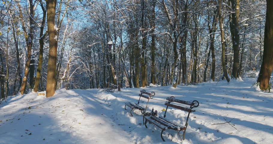 Benches in the park covered with snow.