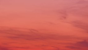 Orange sky at sunrise. Flying seagulls. Sky background with birds. 25fps