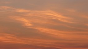 Orange sky at sunrise. One flying seagull. Sky background with bird. 25fps