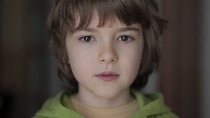 Inquisitive Little Boy Portrait. Face Contemplative Child. Pretty Schoolboy Elementary Student. Portrait of Confident Aspirational Happy Caucasian Boy Looking at Camera. Carefree Relaxed Child.
