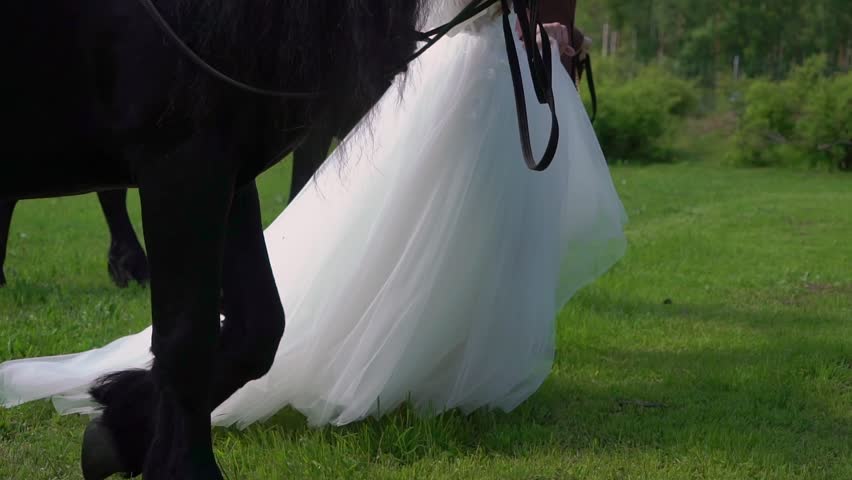 Two black horses pulling a luxury carriage. Bride and groom walks with animals.