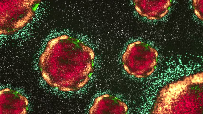 Scientific Biological and Chemical Microscopic Cell Virus and Bacteria Interaction Simulation 4K Background 4K - Powered by Shutterstock - Get 15% off with code: PIKWIZARD15