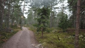 Effective running video filmed on gravel paved terrain course with trees and green framing. Wonderful feeling of running out in nature. GoranOfSweden