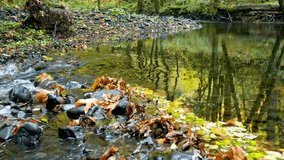 4K Video: Beautiful View of Fall Stream with Reflection - Autumn Tranquility

