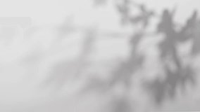 plant leaves sunlight natural shadow overlay on white wall background - Powered by Shutterstock - Get 15% off with code: PIKWIZARD15