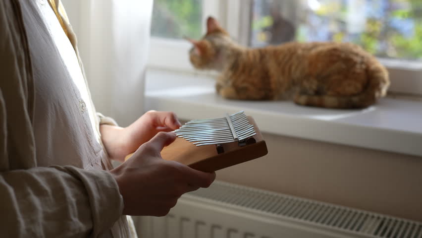 Hands of woman playing music on kalimba, cat lying on windowsill on background. Girl relaxes plays on african traditional musical instrument at home enjoying beautiful sounds with pet cat Devon Rex. Royalty-Free Stock Footage #3399487967
