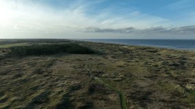 An aerial video of the field and trees in the forest on the sea shore, Ameland, the Netherlands
