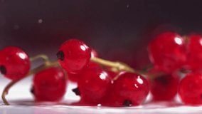 Close-up view of Falling Red Currant Berries on white plate - Powered by Shutterstock - Get 15% off with code: PIKWIZARD15