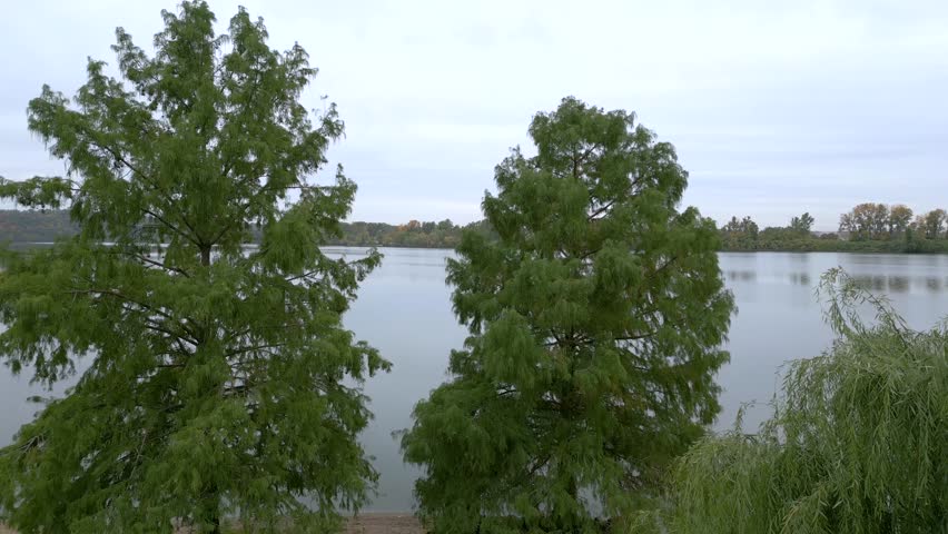 Rise over tree at Creve Coeur Lake Park in Missouri, aerial drone